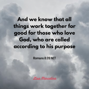 Romans 8:28 NET